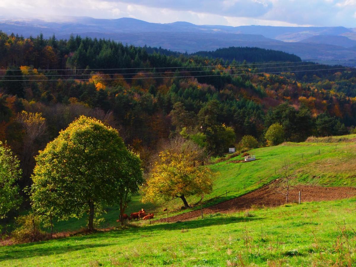 Le Vallon D'Armandine, Gite Ecologique Auvergne Saint-Hilaire  Kültér fotó
