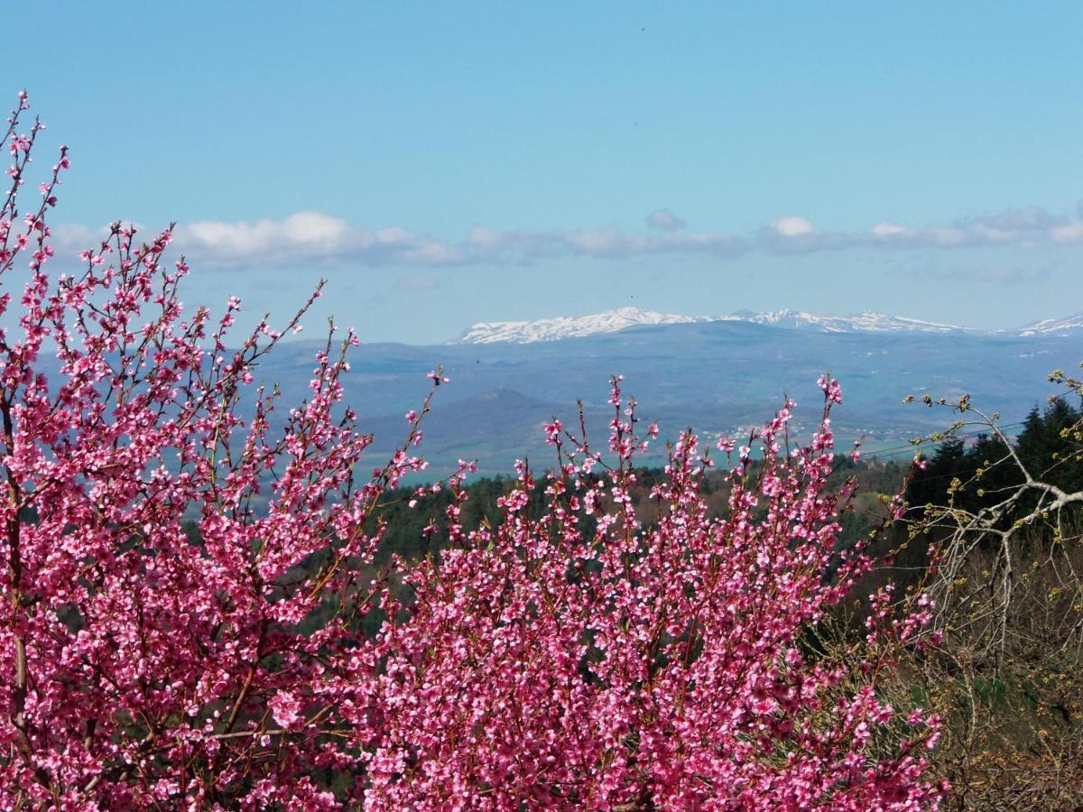 Le Vallon D'Armandine, Gite Ecologique Auvergne Saint-Hilaire  Kültér fotó